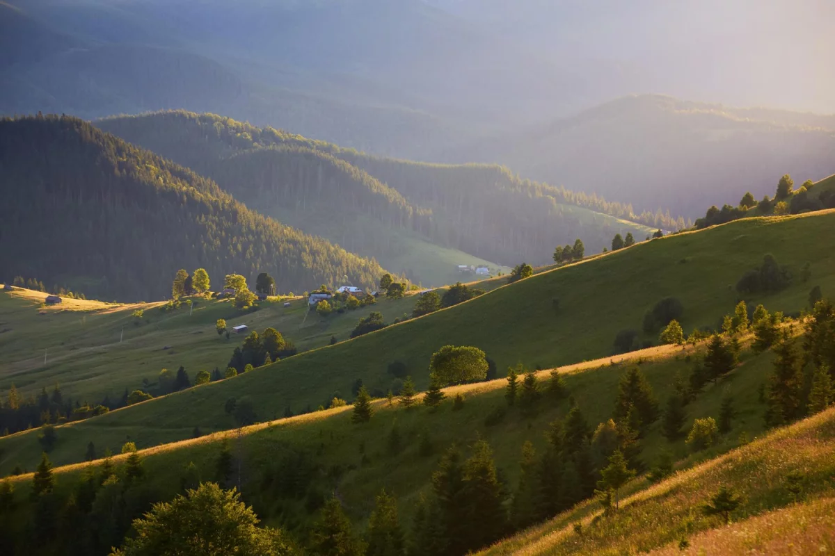 Poradnik o meblach