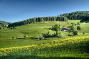 12 Największych Mitów O Tym Jak raportować do BDO i KOBIZE